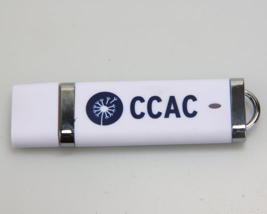 White Personalised Branded With Logo Promo USB Memory Sticks