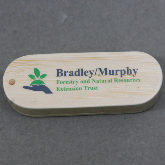 Nature Wood Engraved Personalized With Logo USB Flash Drive