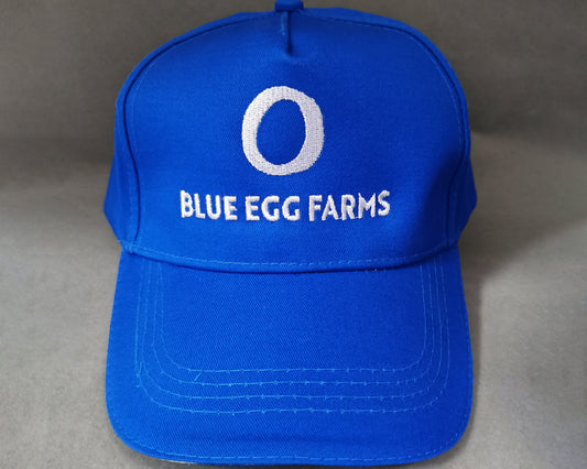 Blue Customize Promotional Baseball Cap